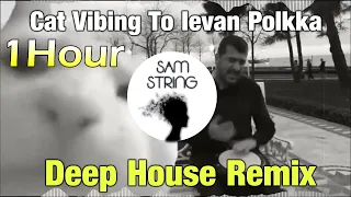 1 Hour of Cat Vibing To Ievan Polkka (SAMString Remix)