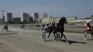 19.07.20, 3 заезд, приз Барса 1 гит