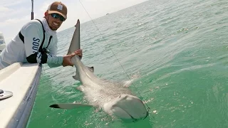 Fishing the Blacktip Shark Migration - ft. Chew On This - 4K