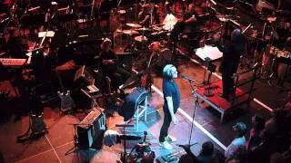 Wailing Wall - Todd Rundgren & Metropole Orkest, Paradiso 11/09/24 [HD]