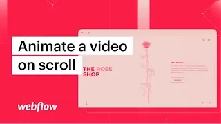How to animate a video on scroll — After Effects & Lottie in Webflow