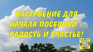 🔊 Главное условие для выращивания овощей! Обязательно узнайте!