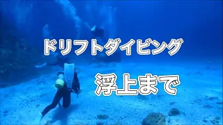 ドリフトダイビングから浮上・ディーズパルス沖縄