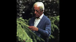 Jiddu Krishnamurti on drugs