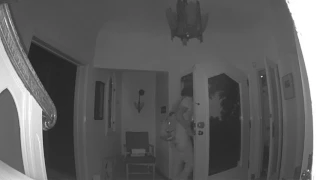 Burglary attempt Los Feliz