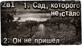 Истории на ночь (2в1): 1.Сад, которого не стало, 2.Он не пришёл