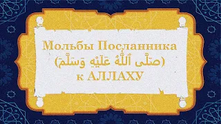 Обращения пророка (салла Аллаху алейхи ва саллам) с мольбами к Аллаху.