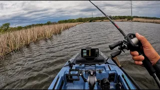 The most Consistent bass fishery in the USA