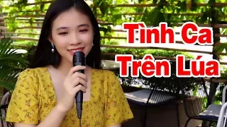 Tình Ca Trên Lúa - Thanh Ngân | Nhạc sống thôn quê hay nhất