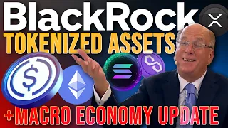 BlackRock CEO Hints at DeFi & Bull-Run! 🚨FULL BREAKDOWN🚨