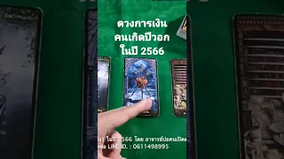 ดวงการเงิน​ คนเกิด​ปีวอกในปี​ 2566​