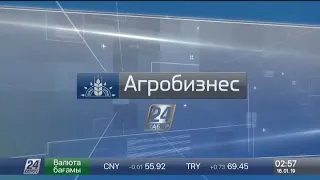 Уход на профилактику канала "Хабар 24" (Казахстан, 16.01.2019)