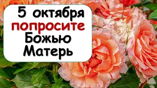 5 октября попросите обязательно Божью Матерь об этом