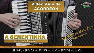 Vídeo Aula de ACORDEON para Iniciantes - A SEMENTINHA