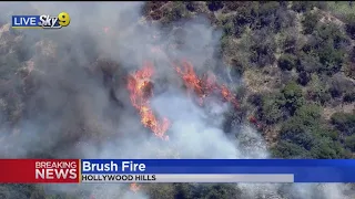 Brush Fire Erupts in Hollywood Hills