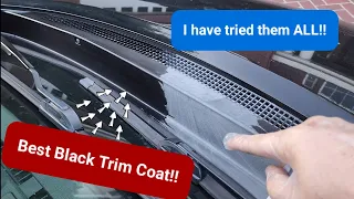 The Very Best Black Trim Restorer - Huge results!