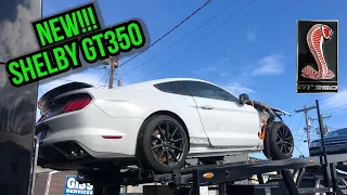 REBUILDING WRECKED SALVAGE 2018 SHELBY GT350 FROM IAAI AUTO AUCTION NOT COPART, Ford Mustang