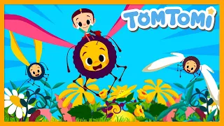 Butterfly🦋 | Kpop Kids Song | TOMTOMI