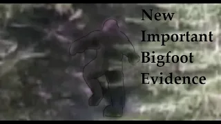 Important new Bigfoot evidence.  Sasquatch are extremely fast