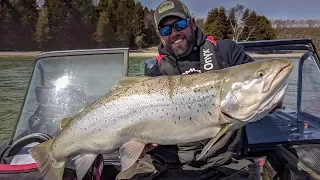 Gigantic Brown Trout - In-Depth Outdoors TV Season 12, Episode 19