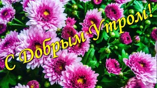 С Добрым  утром! Сегодня именно тот день, когда все удается!Оптимизма и бодрости духа желаю!