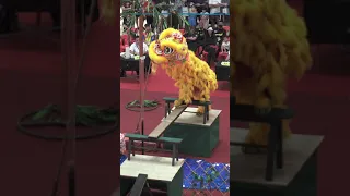 1st SEA ASEAN Lion Dance Championship 2022 #shorts