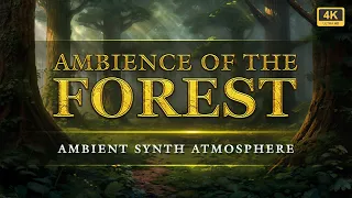 Ambience Of The Forest: Ambient Music | Fantasy Synth Soundscape