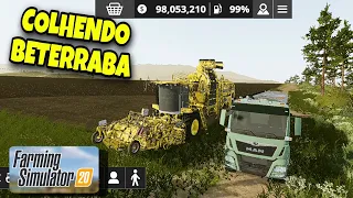 Farming simulator 20 ➡️ FINALIZANDO A COLHEITA DA BETERRABA E COMEÇANDO OUTRA COLHEITA DE TRIGO.