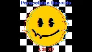 ACID 303 Electronic Music Compilation ( Various Artists / Multi-Genre ) Paracelsian Records