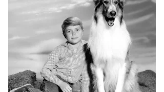 Kazs World Presents : Lassie