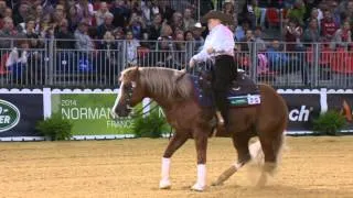 Jeux équestres mondiaux : épreuves de Reining, passage de Mandy MCCUTCHEON