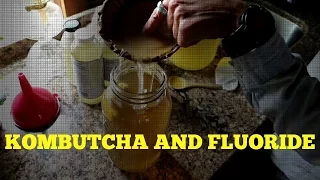 IF YOU MAKE KOMBUCHA YOU BETTER WATCH THIS!!!