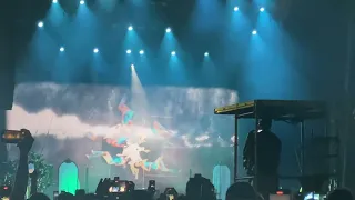 Pretty When You Cry - LANA DEL REY (LOLLAPALOOZA23)