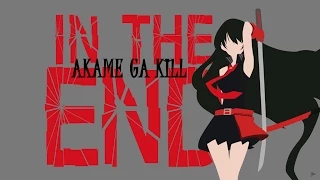 [Akame ga Kill AMV] In the End (Thanks for 1K Subs!)