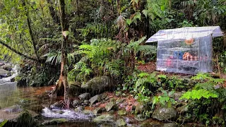 Solo camping in heavy rain using plastic wrap-asmr||solo camping bushcraft