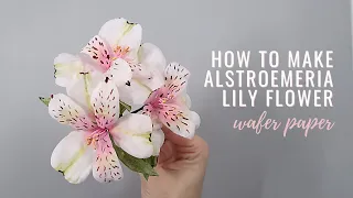 Alstroemeria Lily Tutorial for cake decorating ** FREE TEMPLATE** | Florea Cakes