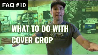 BuildASoil: FAQ #10: WHAT TO DO WITH COVER CROP