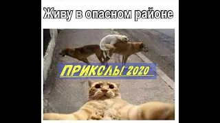 ТОП ПРИКОЛОВ  2020 /   ТЕСТ НА ПСИХИКУ