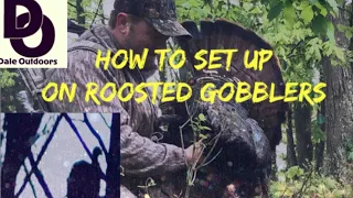 Setting up on Roosted Gobblers