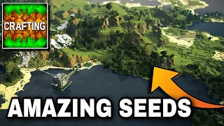 3 Amazing Seeds in Crafting and Building