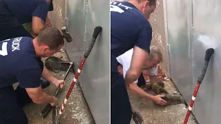 Watch Terrifying Moment Firefighters Save Cat With Head Stuck Under Door