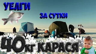 😱Нереальный клев карася, лучшая рыбалка на оз. Уелги 🎣клюет как с пулемёта❗❗❗