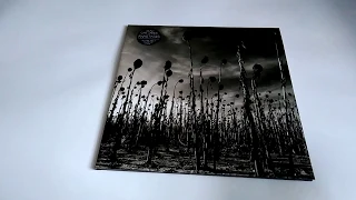 Выпуск №29. Dead Can Dance – Anastasis(Vinyl, LP, Album)