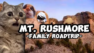 CAT MEMES: FAMILY ROADTRIP COMPILATION EP.10 + EXTRA SCENES