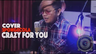 Crazy For You - SpongeCola (Acoustic Cover)