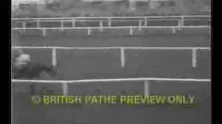 1953 GRAND NATIONAL GREAT FOOTAGE,EARLY MIST WINS