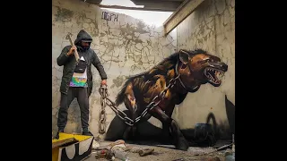 Portuguese Artist Sergio Odeith  Graffiti Art