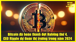 Bitcoin đã hoàn thành đợt Halving thứ 4, CEO Ripple dự đoán thị trường trong năm 2024