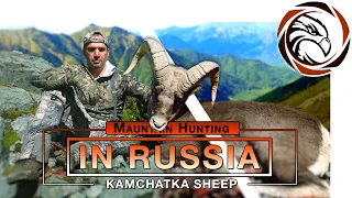 Mountain Hunting for the Kamchatka snow sheep