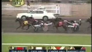 Hambletonian 2004 -Windsong's Legacy